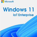 WinIOT partner